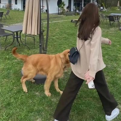 敌后便衣队传奇